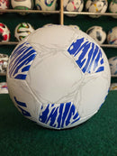 Original JAKO Training ball Wild Soccer Football Size 5