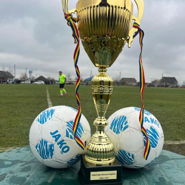 Original JAKO Training ball Wild Soccer Football Size 5
